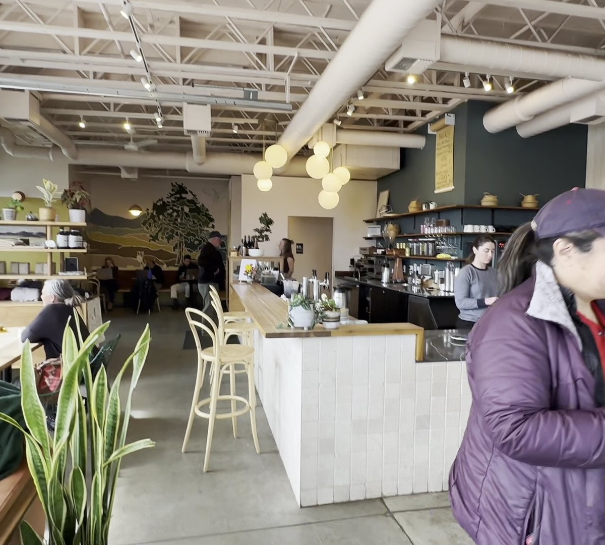 Lone Pine Coffee Roasters specialty coffee shop in Bend - photo 10