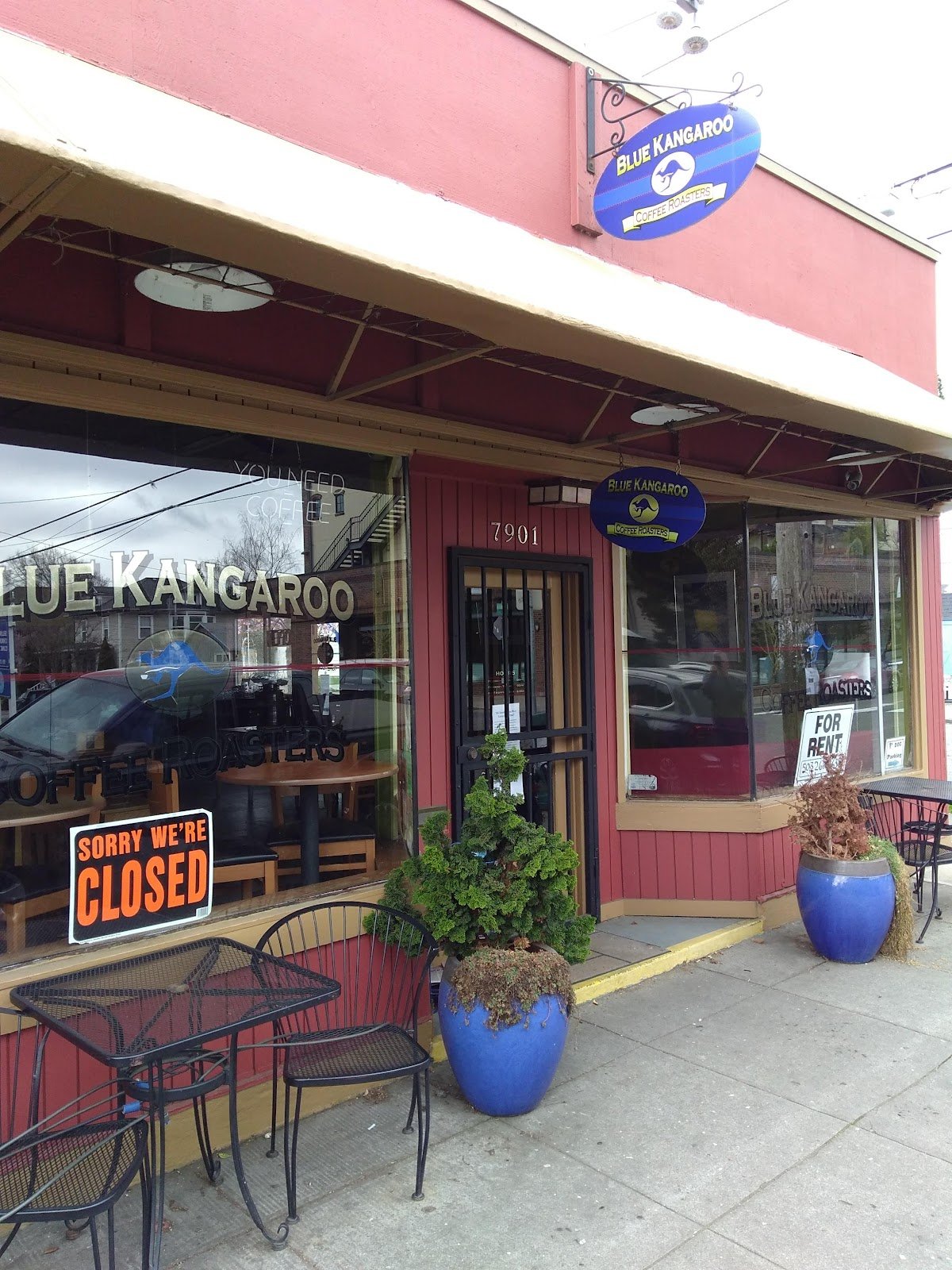 Blue Kangaroo Coffee Roasters specialty coffee shop in Portland - photo 3