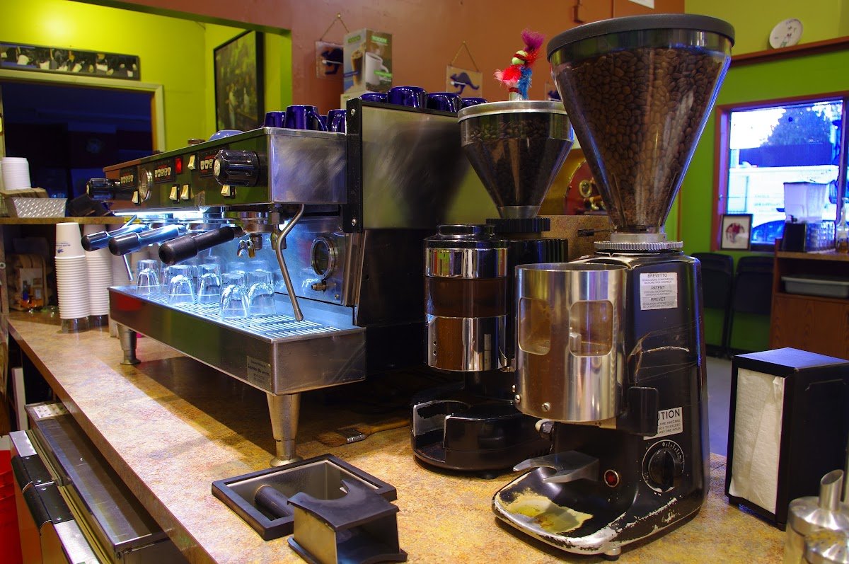 Blue Kangaroo Coffee Roasters specialty coffee shop in Portland - photo 6