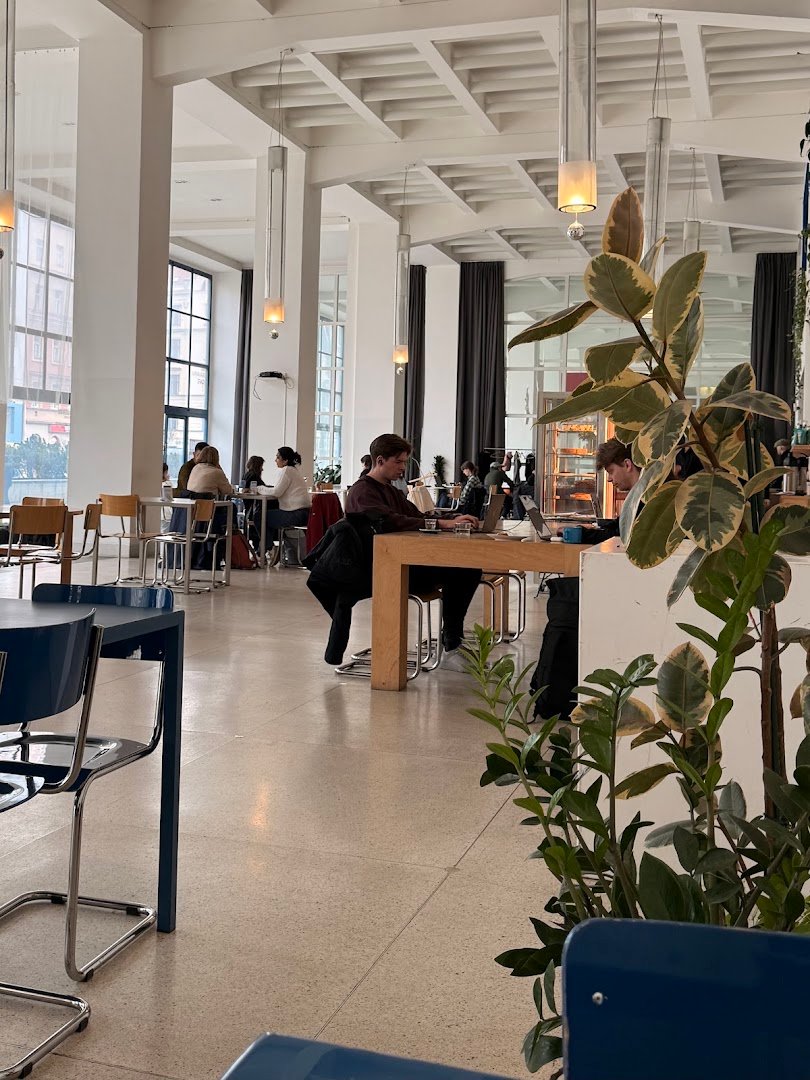 Interior of KOLEKTOR, specialty coffee shop in Prague