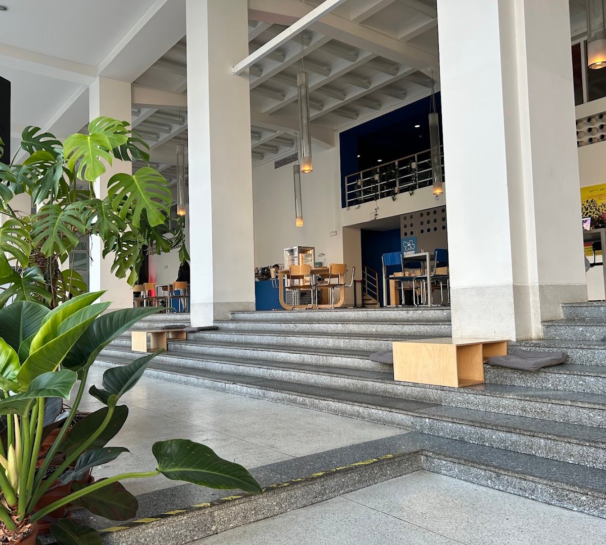 Interior of KOLEKTOR, specialty coffee shop in Prague