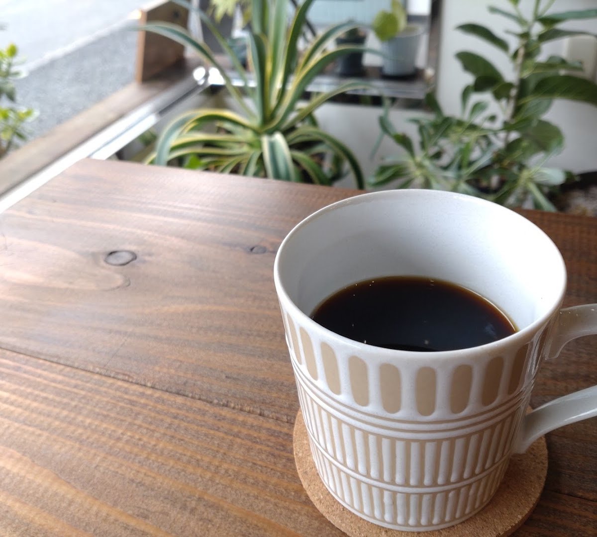 Coffee at Coffee tree, specialty coffee shop in Tokyo
