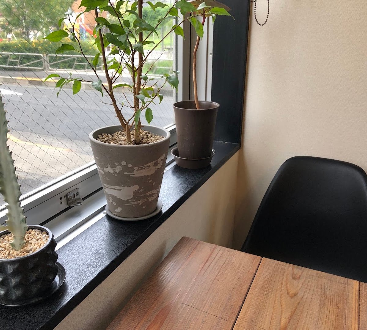 Interior of Coffee tree, specialty coffee shop in Tokyo