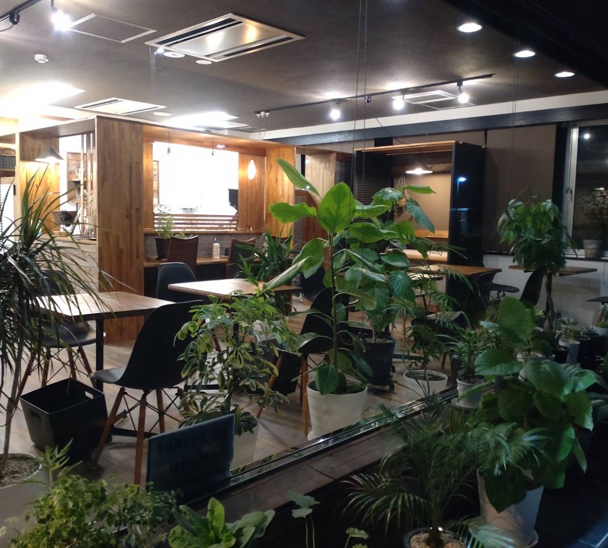 Interior of Coffee tree, specialty coffee shop in Tokyo