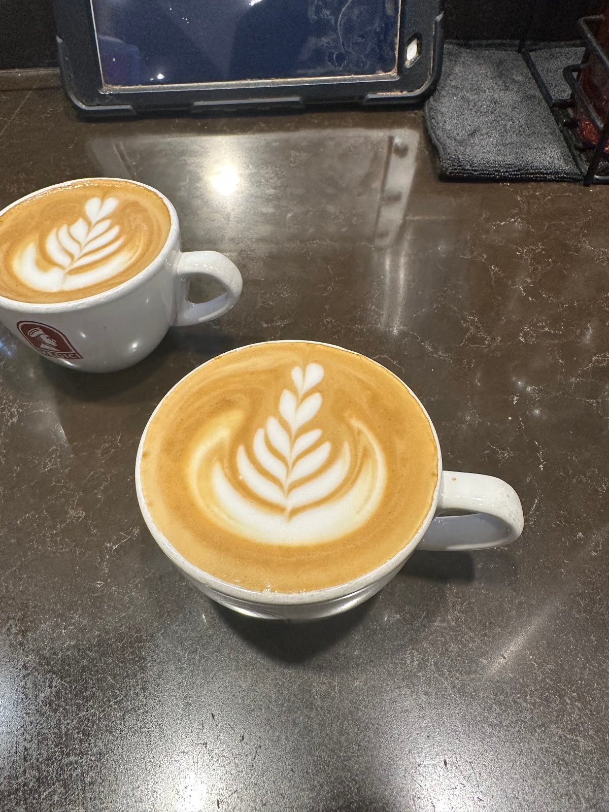 Medici Roasting specialty coffee shop in Austin - photo 3