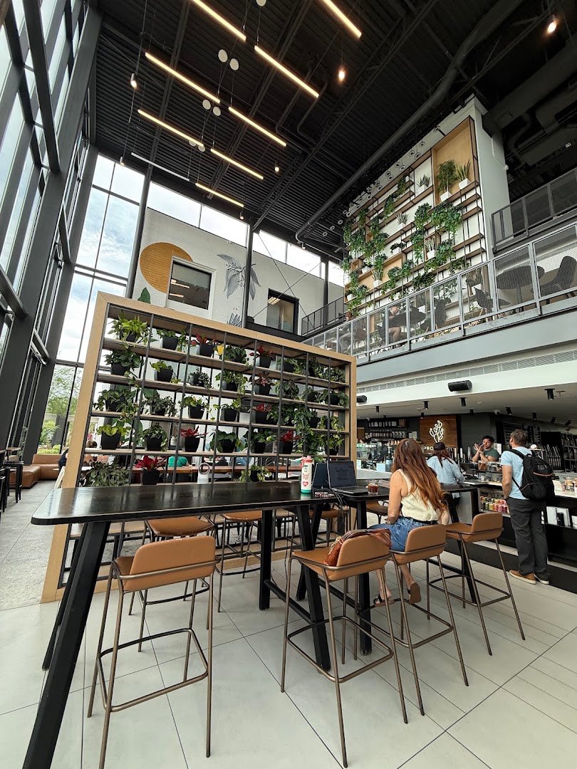 Interior of PROVISION, specialty coffee shop in Phoenix