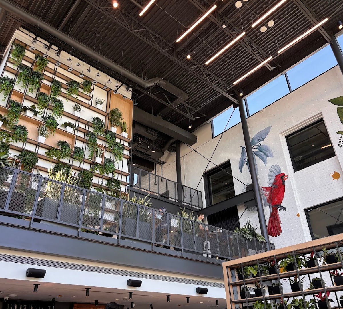 Interior of PROVISION, specialty coffee shop in Phoenix