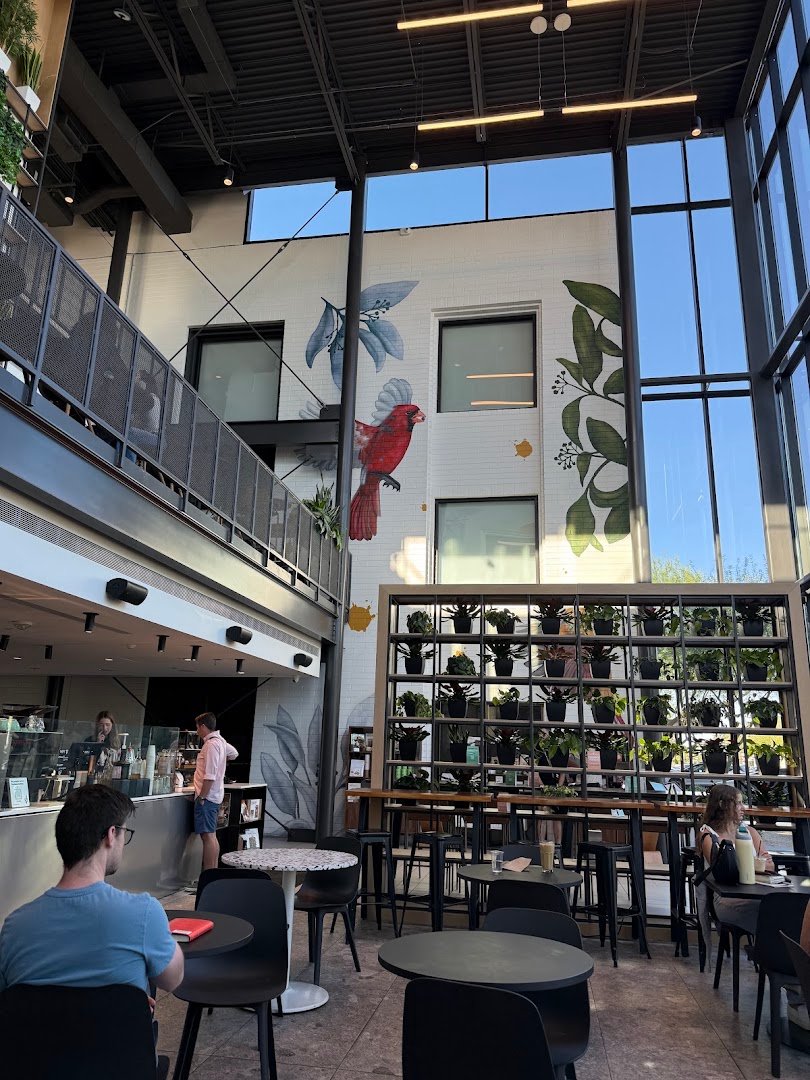 Interior of PROVISION, specialty coffee shop in Phoenix