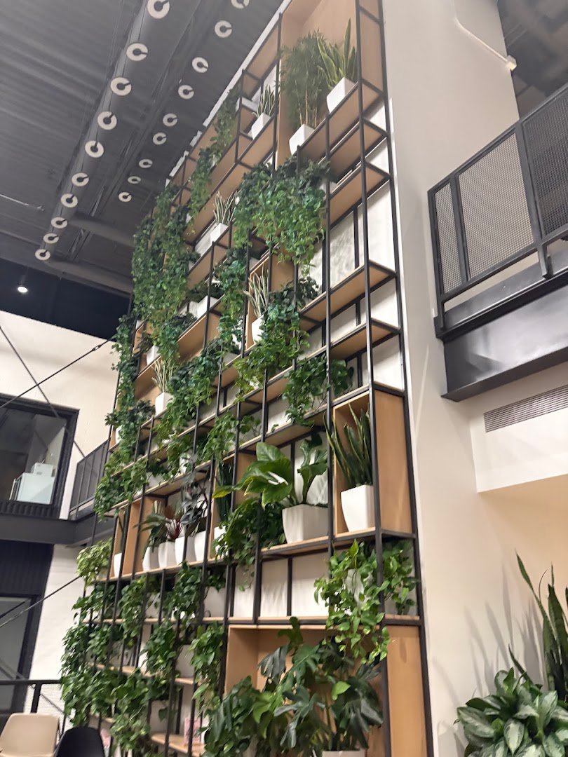 Interior of PROVISION, specialty coffee shop in Phoenix