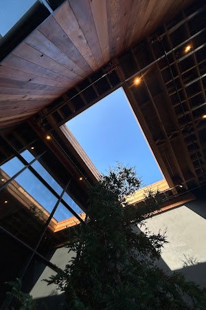 Hedge Coffee specialty coffee shop in San Francisco - photo 13