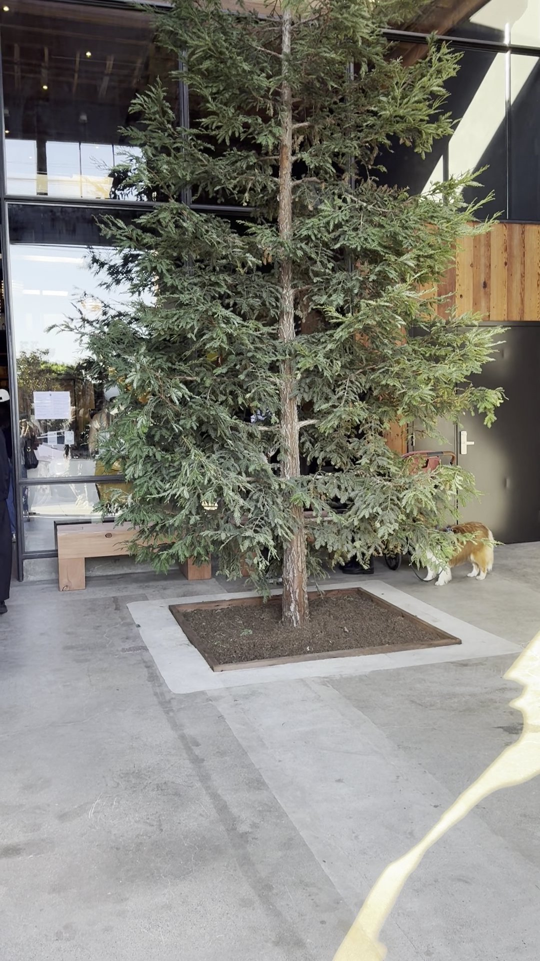 Hedge Coffee specialty coffee shop in San Francisco - photo 16