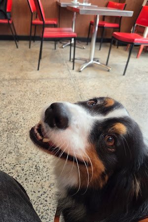 Coffee Supreme specialty coffee shop in Melbourne - photo 12