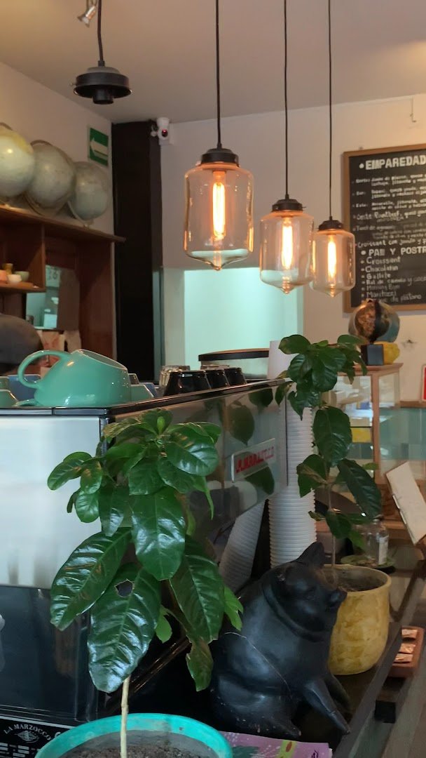 Interior of Cardinal Casa de Café, specialty coffee shop in Mexico City
