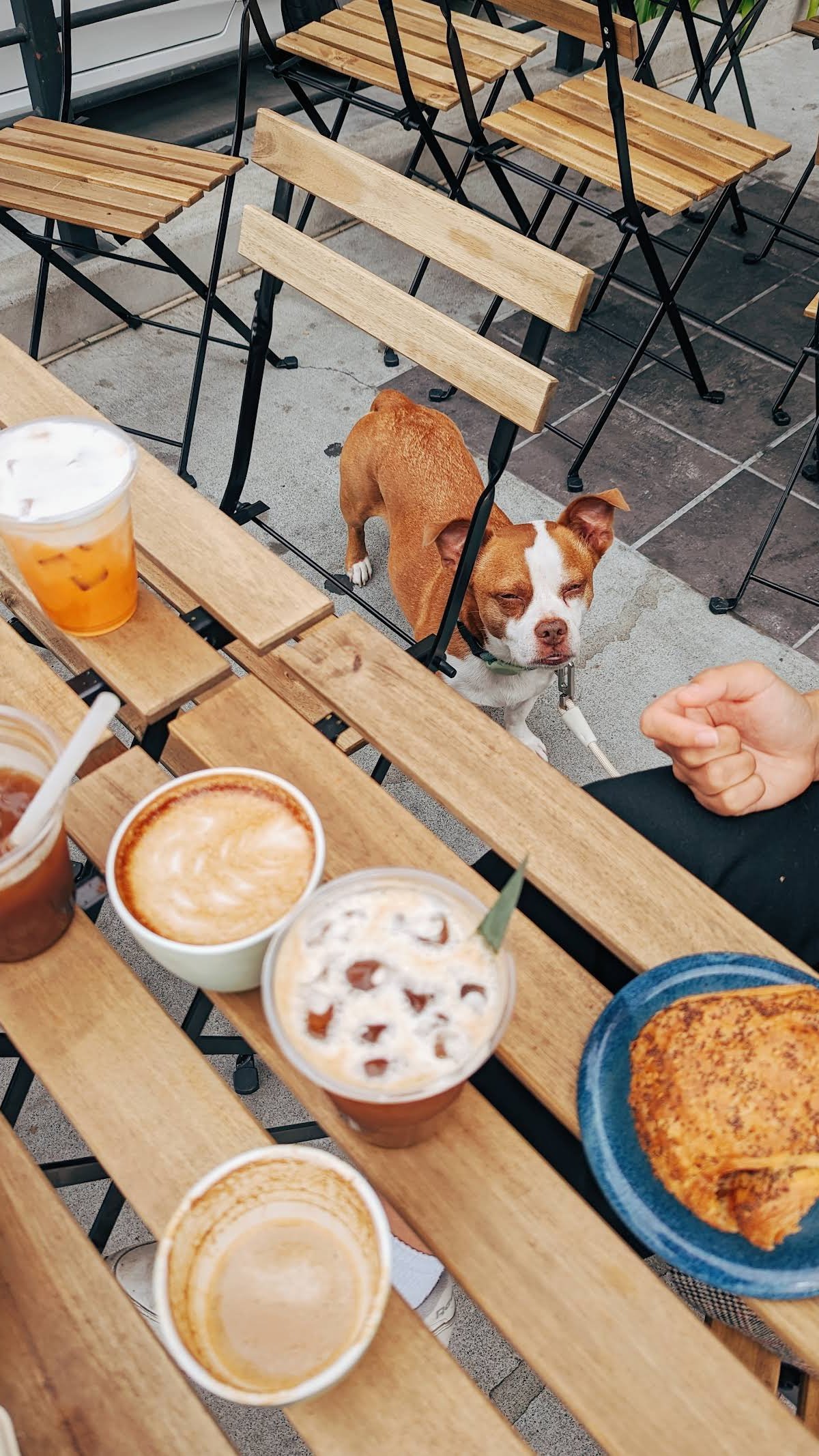 Paper Son Coffee - Dogpatch specialty coffee shop in San Francisco - photo 10