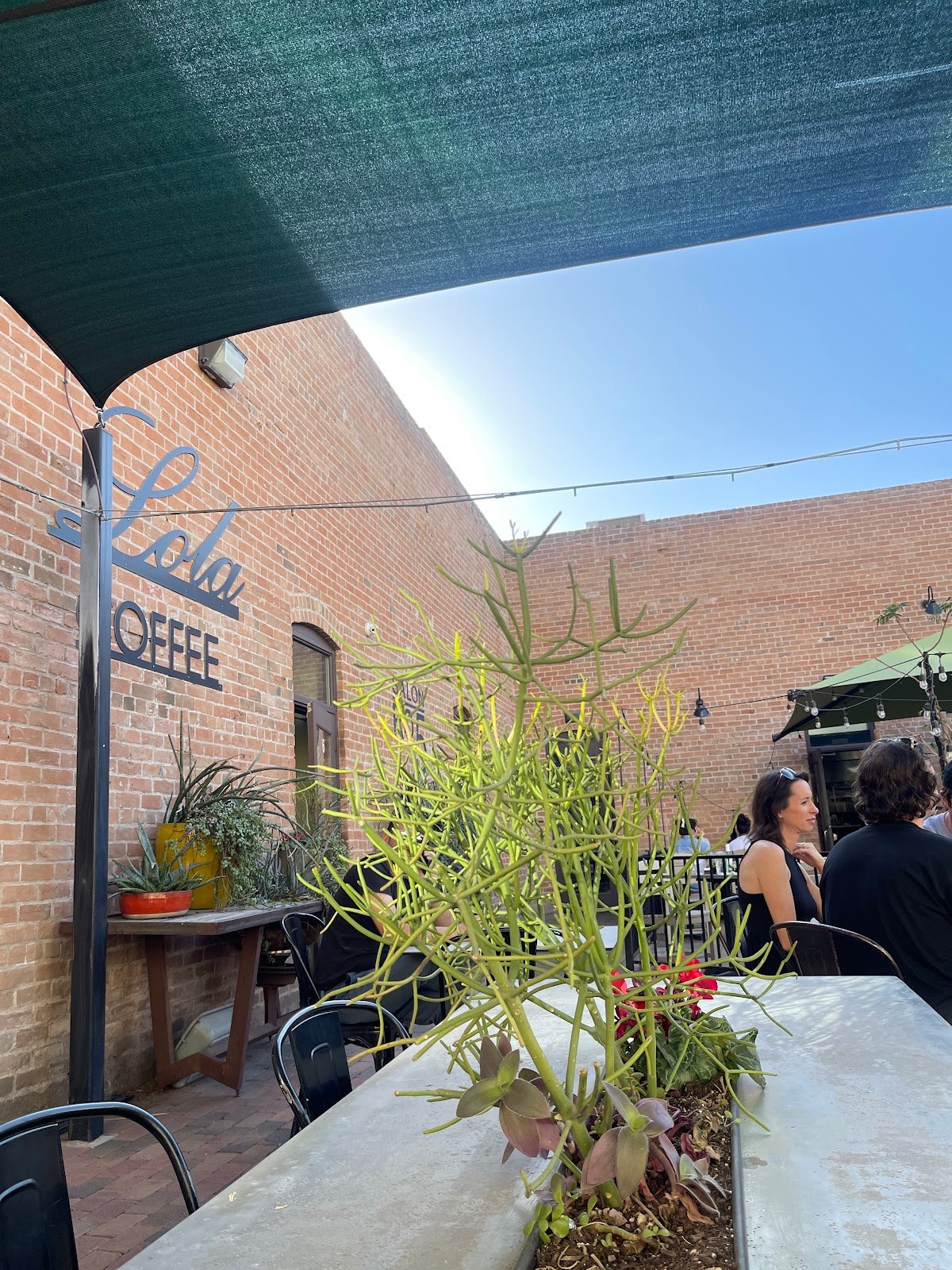 Lola Coffee specialty coffee shop in Phoenix - photo 3