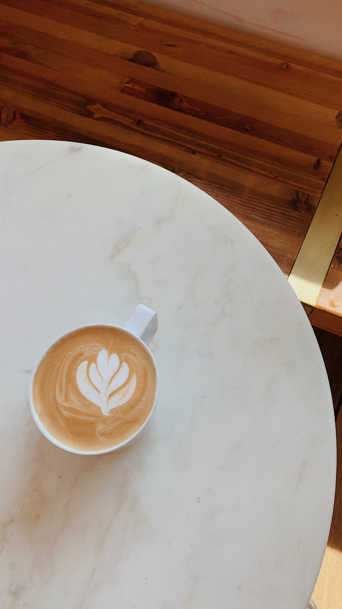 Deseo A Coffee Shack specialty coffee shop in Phoenix - photo 13