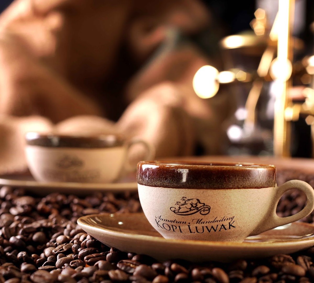 Mandailing Estate Coffee specialty coffee shop in Bali - photo 2