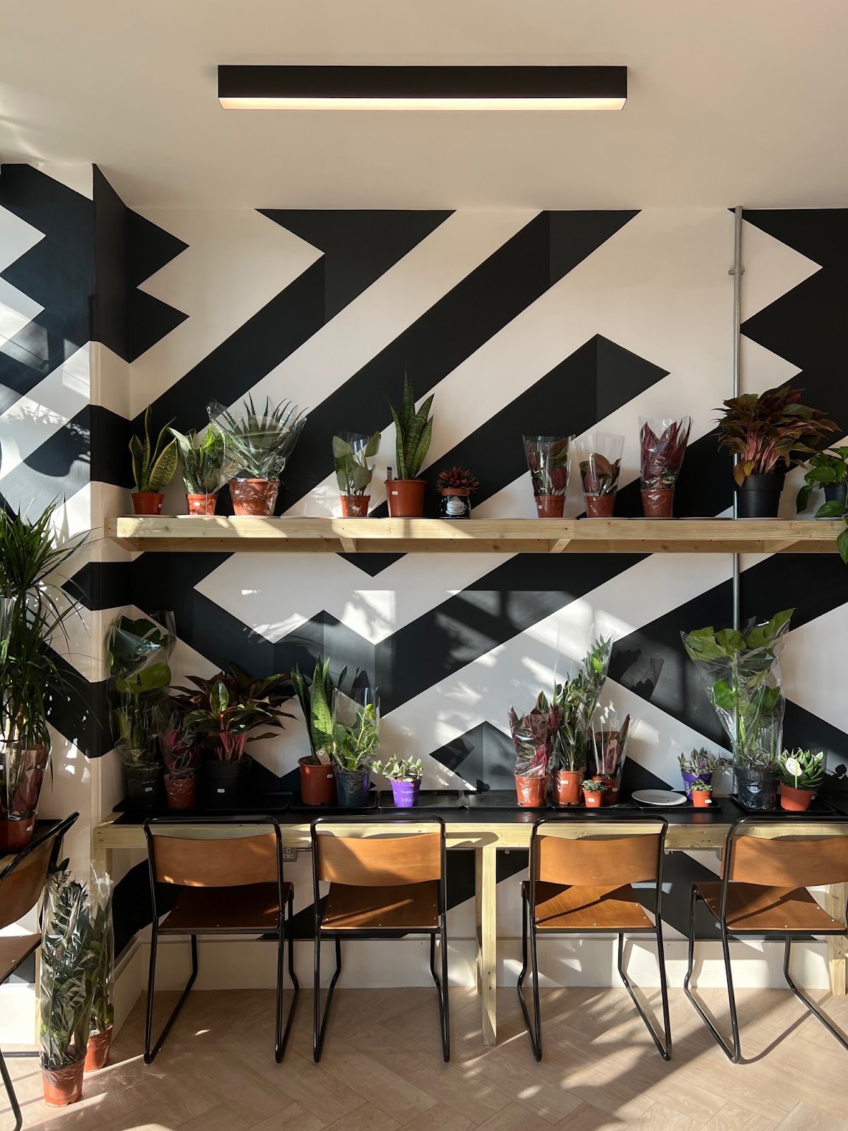 Dark & Light Coffee specialty coffee shop in London - photo 7