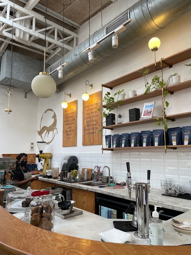 Quick Brown Fox Coffee Roasters specialty coffee shop in Delhi - photo 9