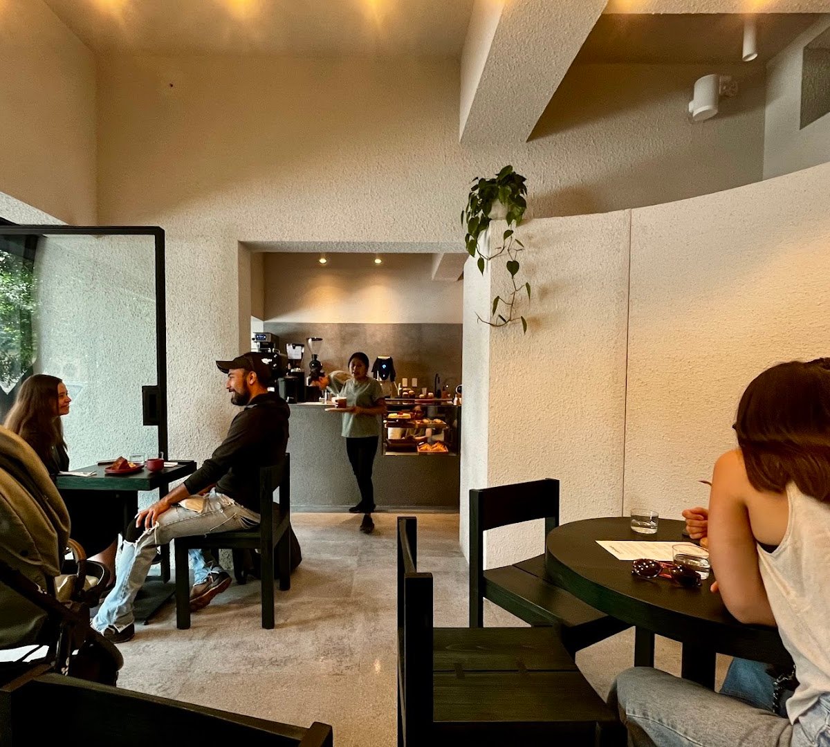 Interior of Cafeología, specialty coffee shop in Mexico City