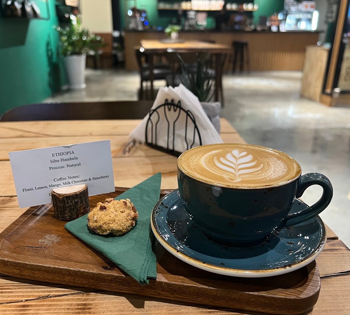 Coterra Coffee Roasters specialty coffee shop in Dubai - photo 6
