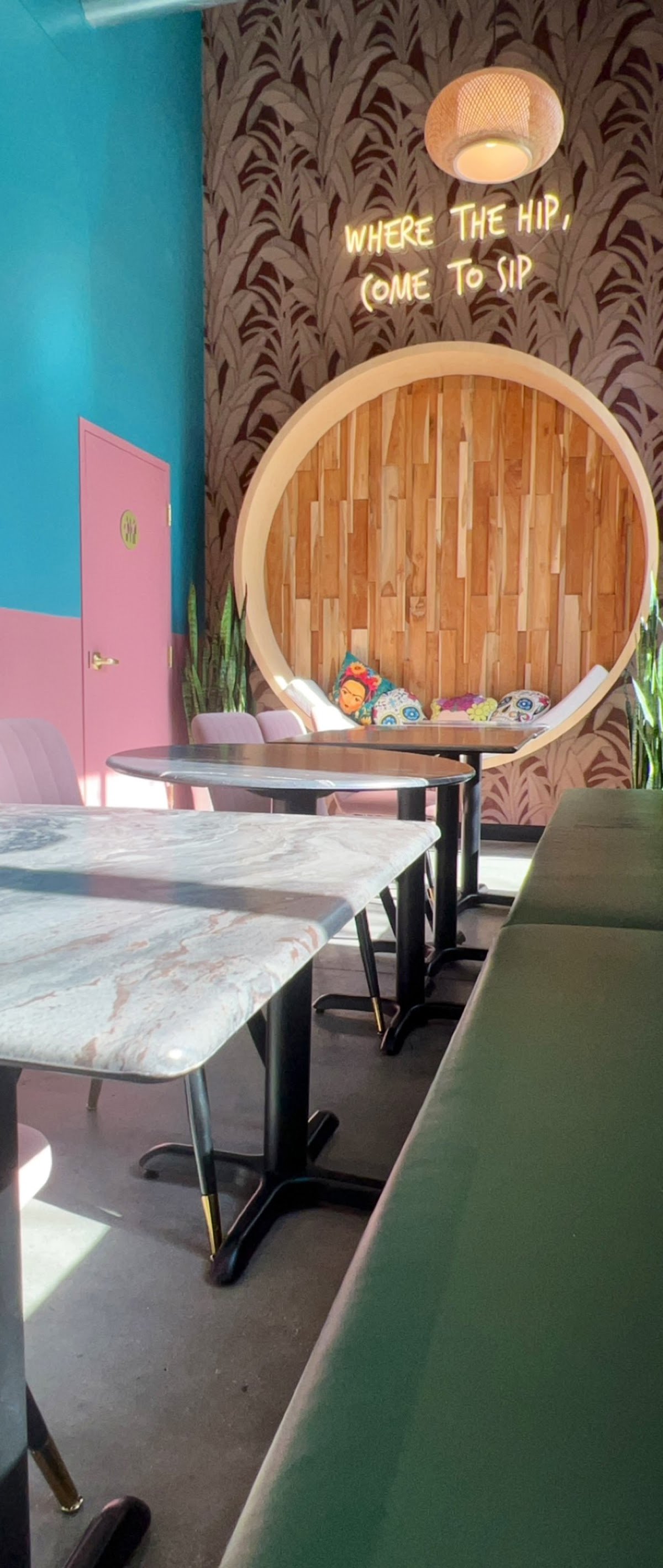 Stemma Craft Coffee specialty coffee shop in Orlando - photo 13