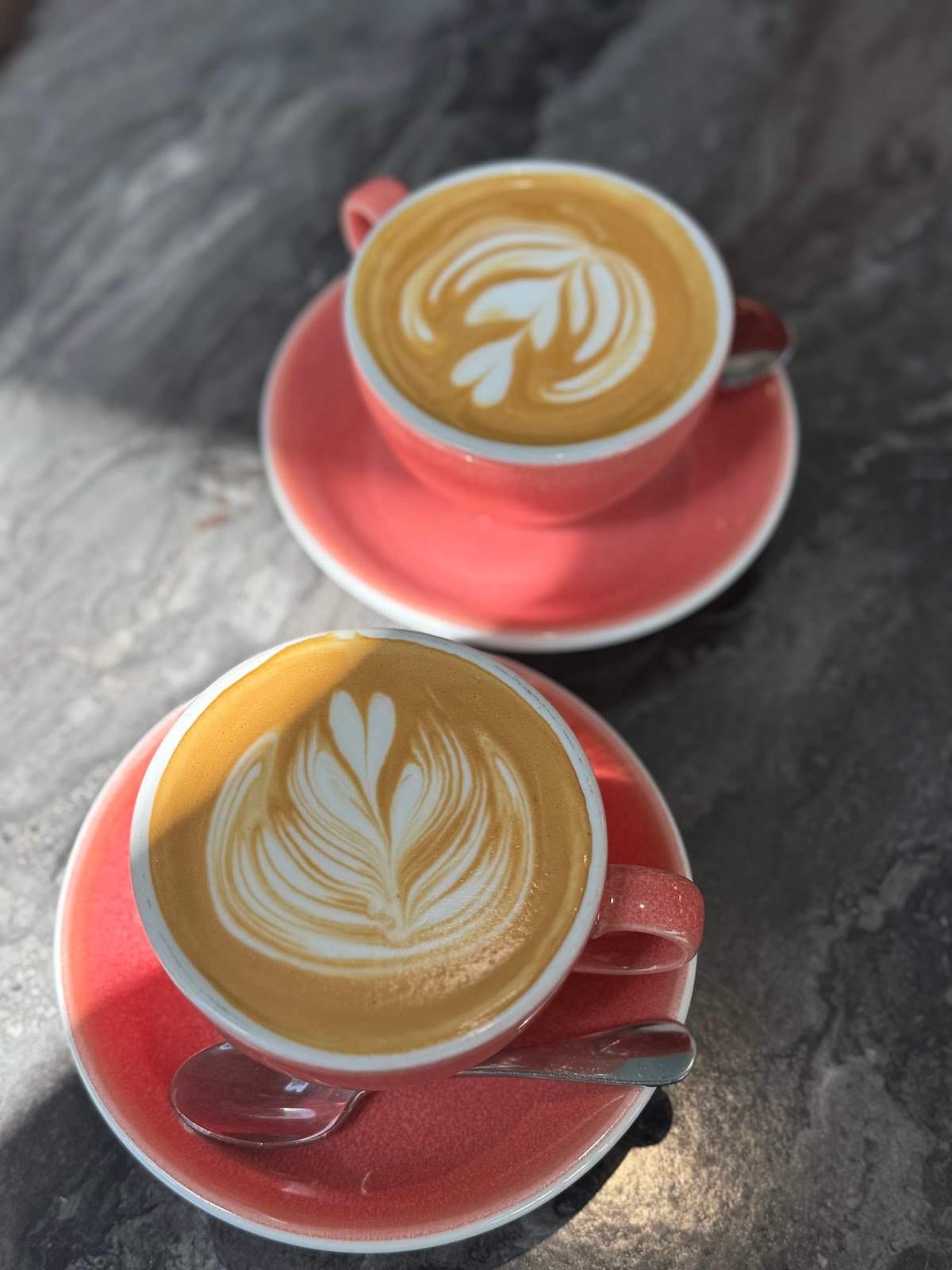 Stemma Craft Coffee specialty coffee shop in Orlando - photo 3