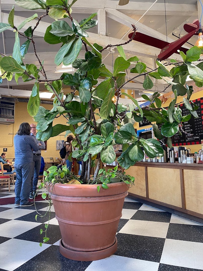 Speeder & Earl's Coffee specialty coffee shop in Burlington - photo 6