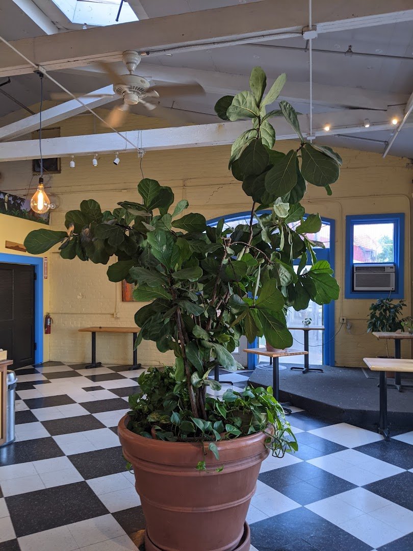 Speeder & Earl's Coffee specialty coffee shop in Burlington - photo 10