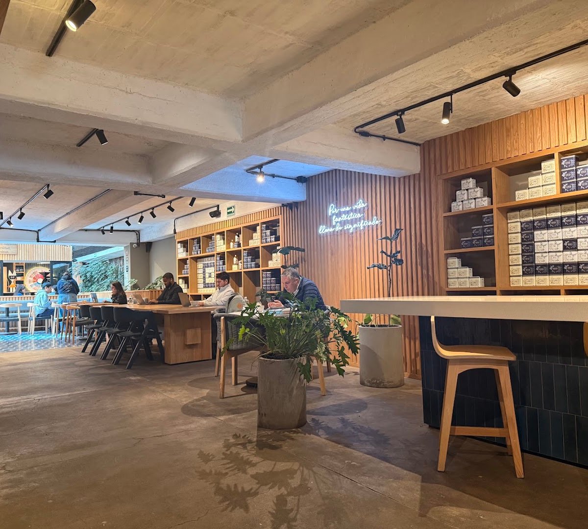 Interior of Libertario Coffee Roasters - Roma Norte, specialty coffee shop in Mexico City