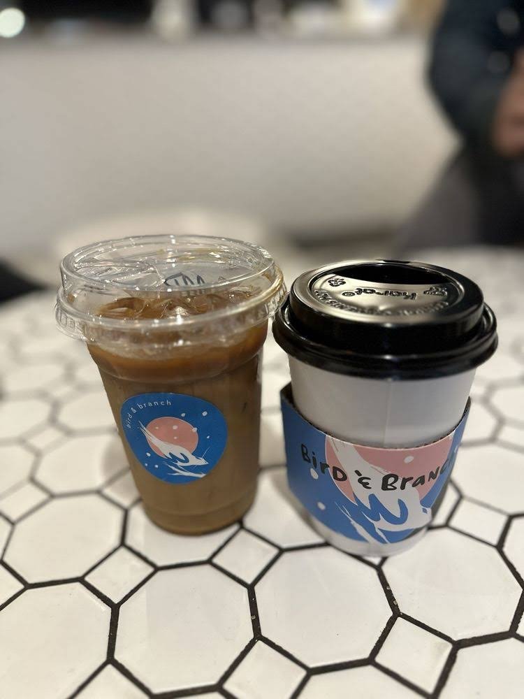 Bird & Branch Coffee Roasters specialty coffee shop in New York - photo 7