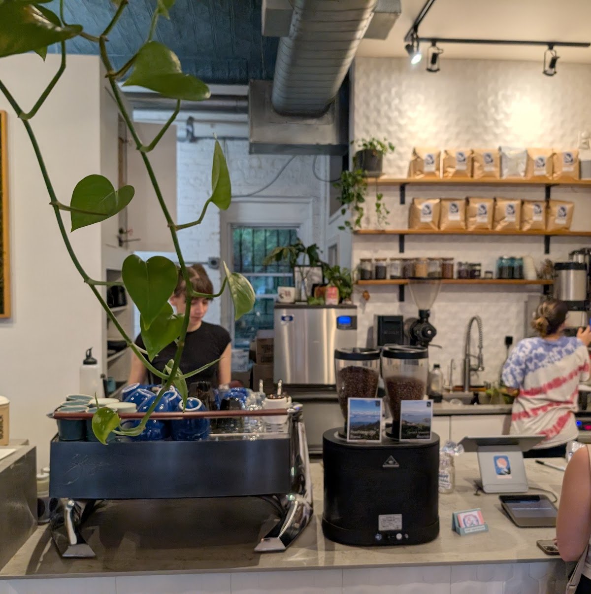 Bird & Branch Coffee Roasters specialty coffee shop in New York - photo 10