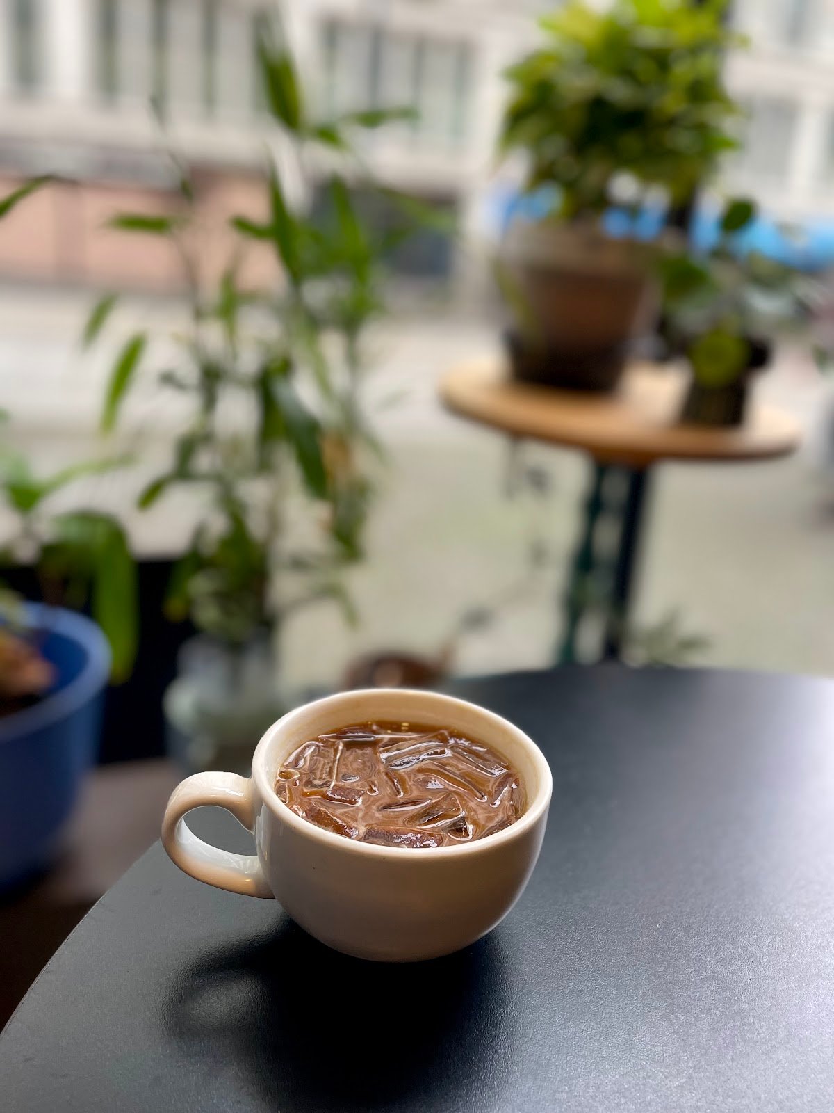 Pegasus Coffee Bar specialty coffee shop in Seattle - photo 4