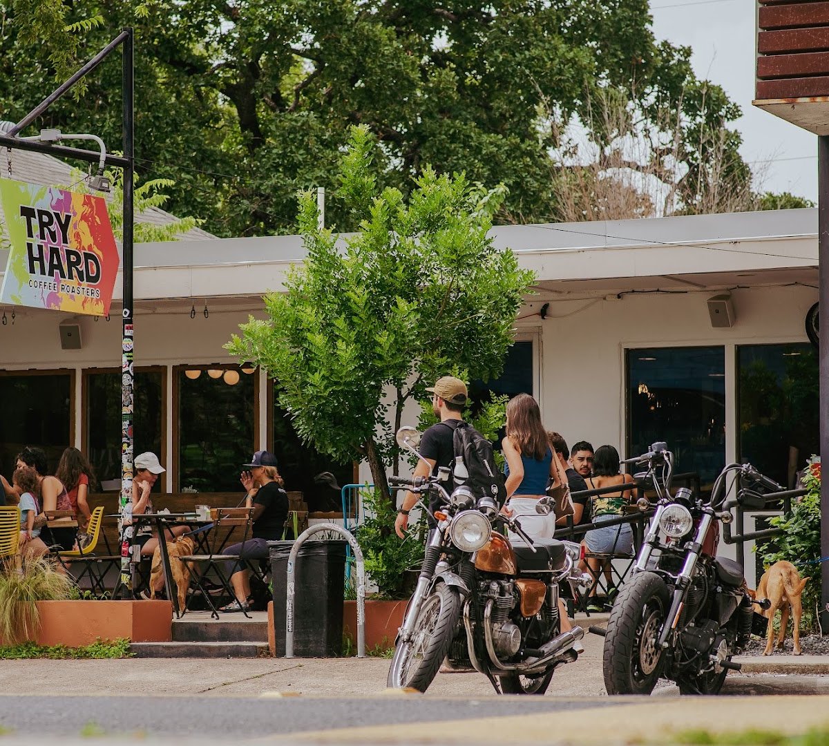 Try Hard Coffee Roasters specialty coffee shop in Austin - photo 10