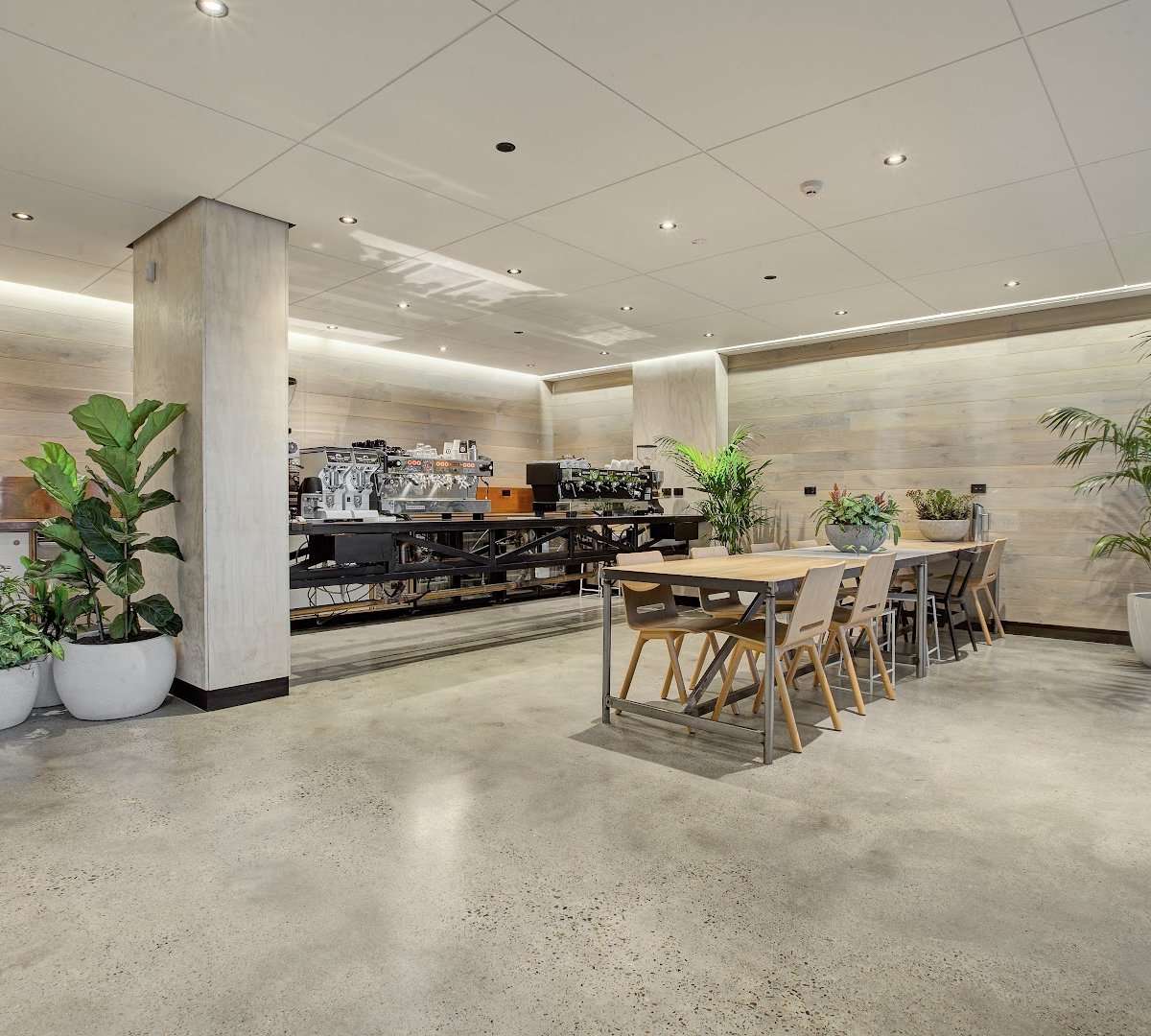 Gabriel Coffee specialty coffee shop in Sydney - photo 2