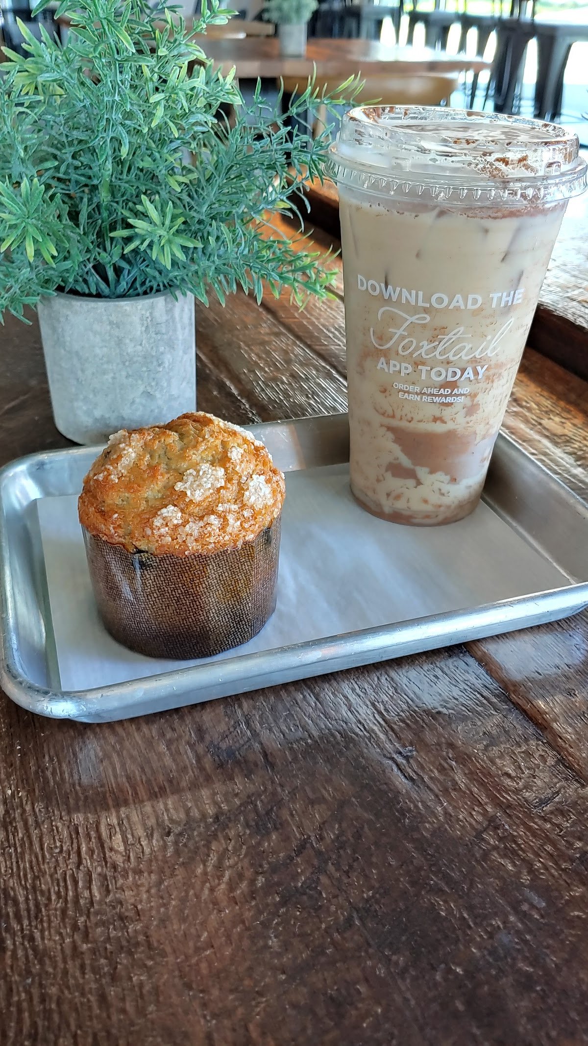 Foxtail Coffee - SoDo North specialty coffee shop in Orlando - photo 15