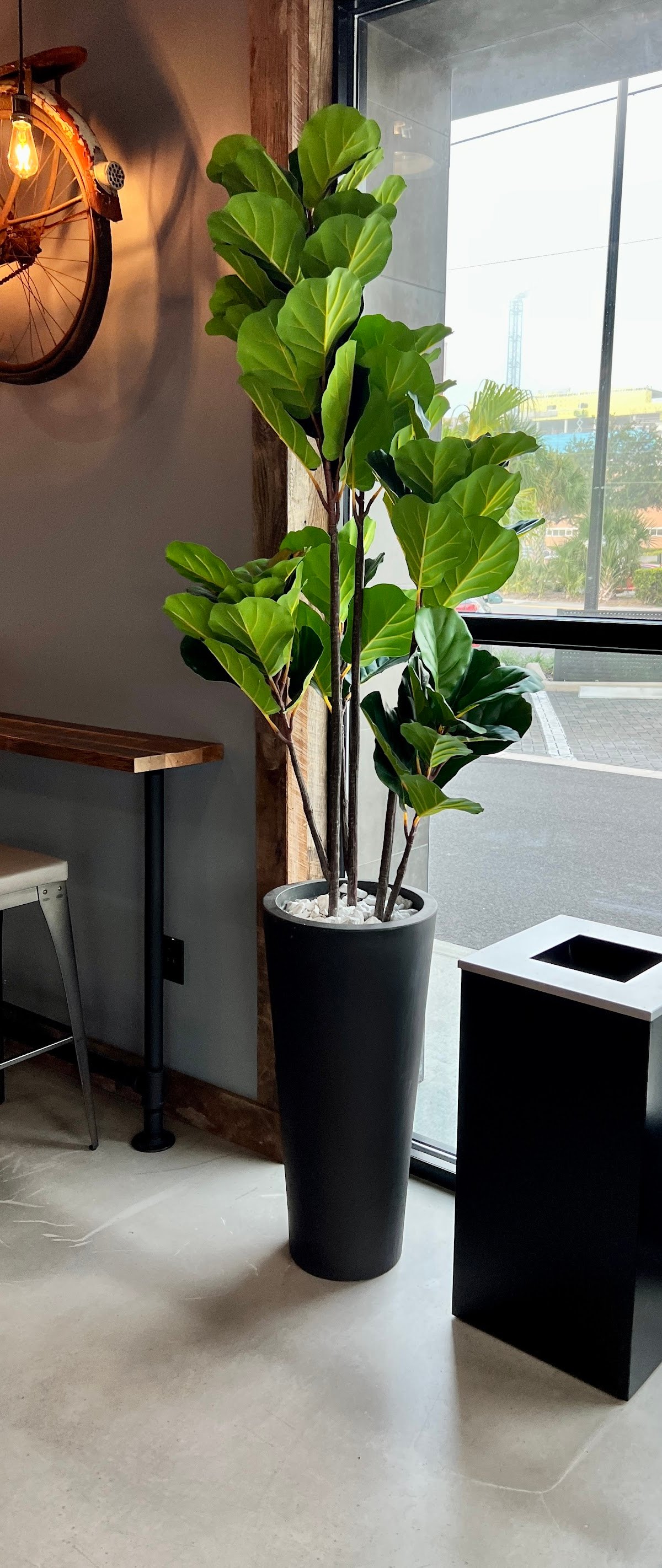 Foxtail Coffee - SoDo North specialty coffee shop in Orlando - photo 19