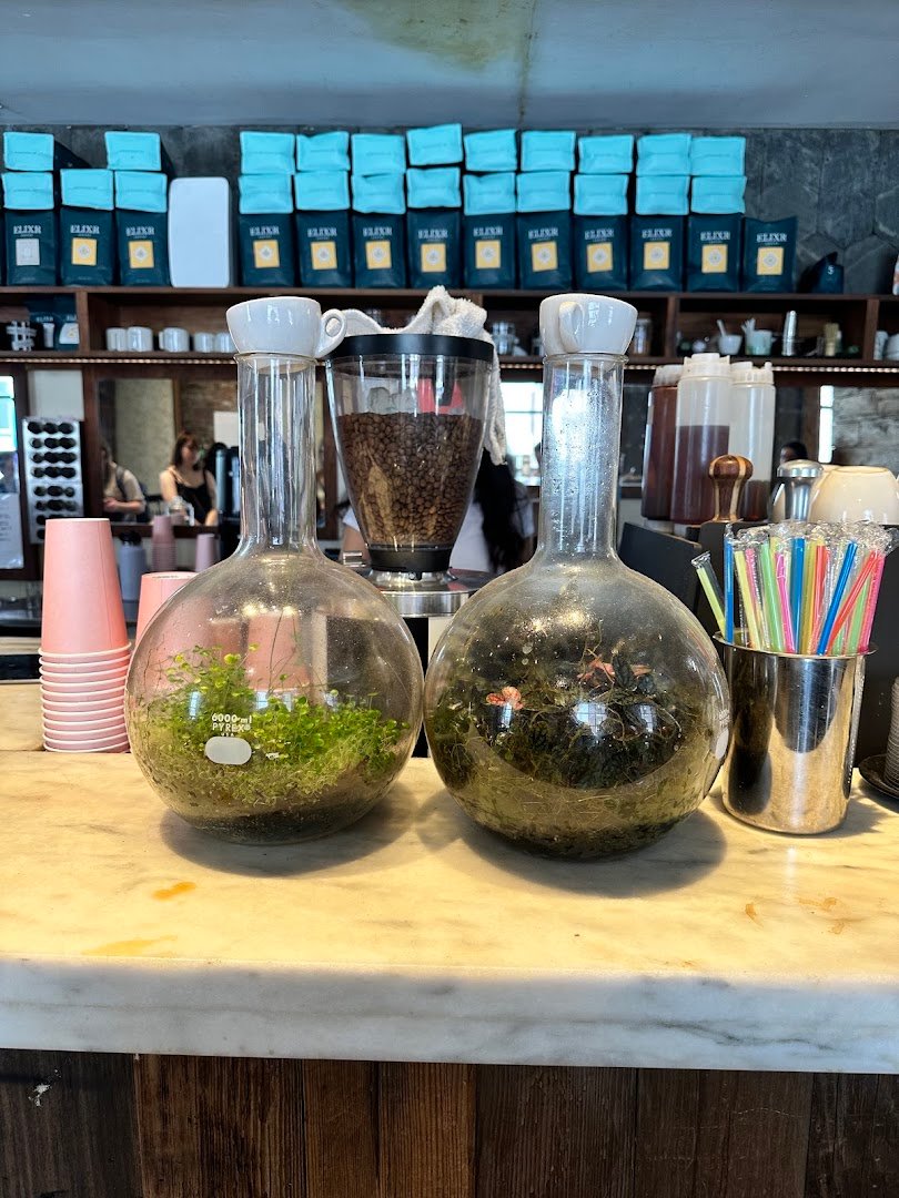 Interior of Elixr Coffee Roasters, specialty coffee shop in Philadelphia