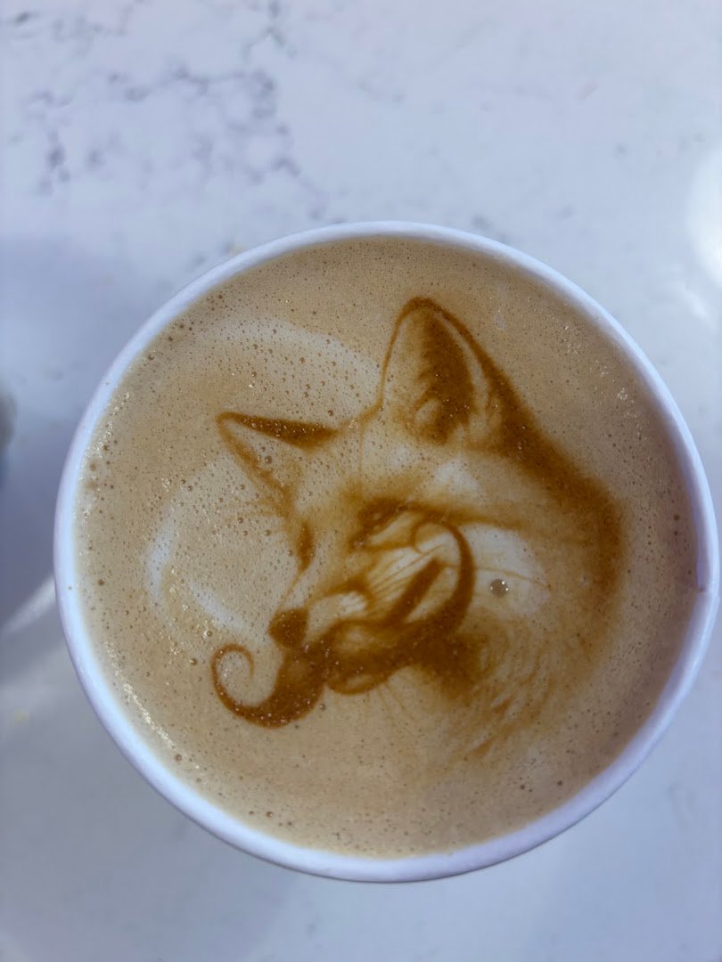 Coffee at Gray Fox Coffee, specialty coffee shop in Minneapolis