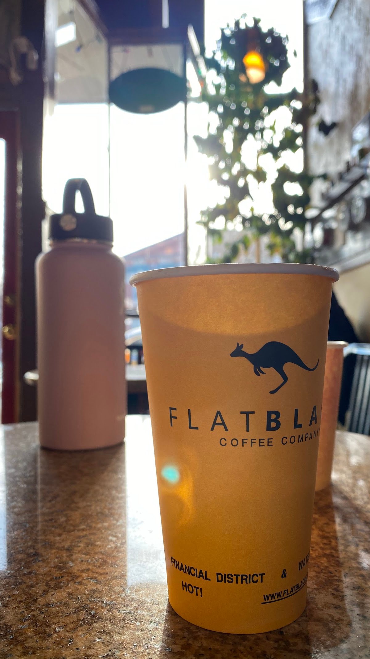 Flat Black Coffee specialty coffee shop in Boston - photo 14