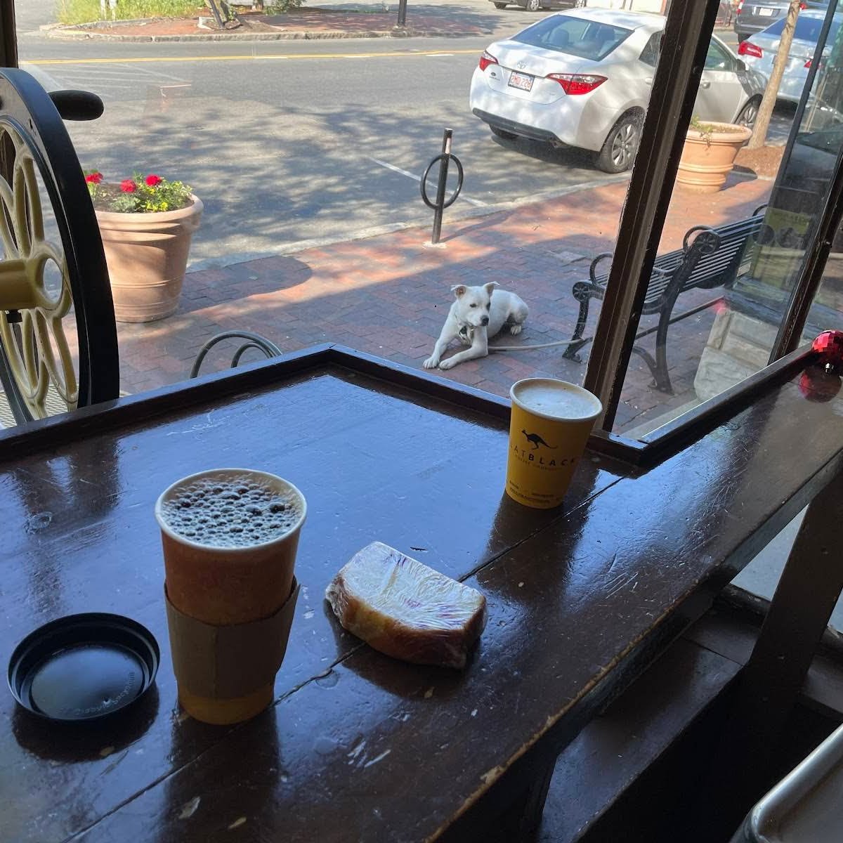 Flat Black Coffee specialty coffee shop in Boston - photo 15