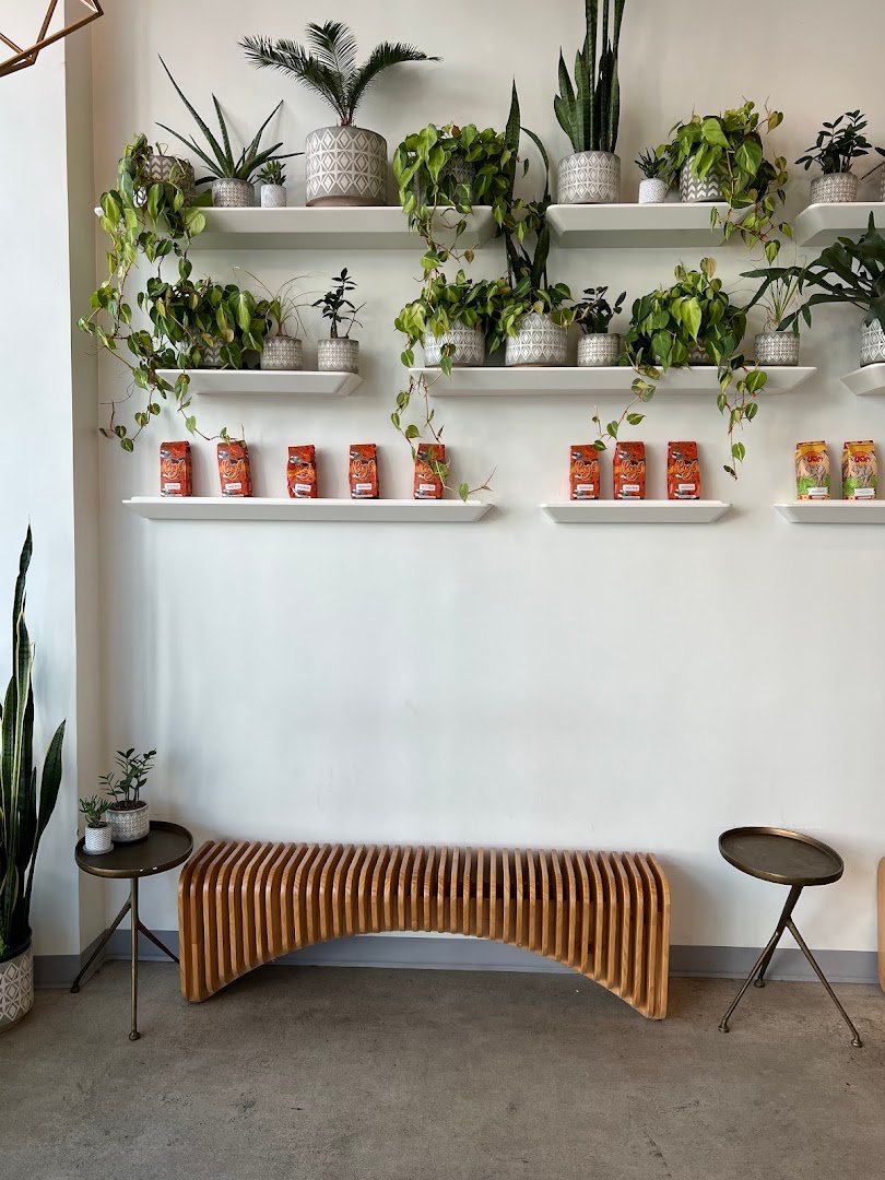 Interior of CAJÉ Coffee Roasters, specialty coffee shop in Santa Barbara