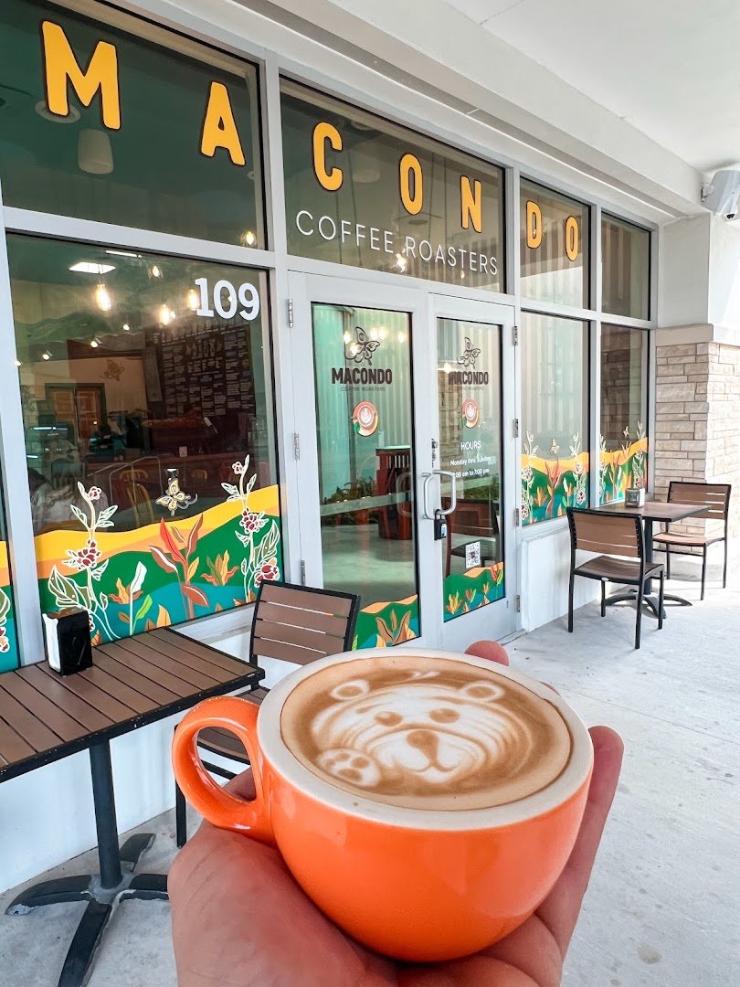 Coffee at Macondo Coffee Roasters - Pinecrest, specialty coffee shop in Miami