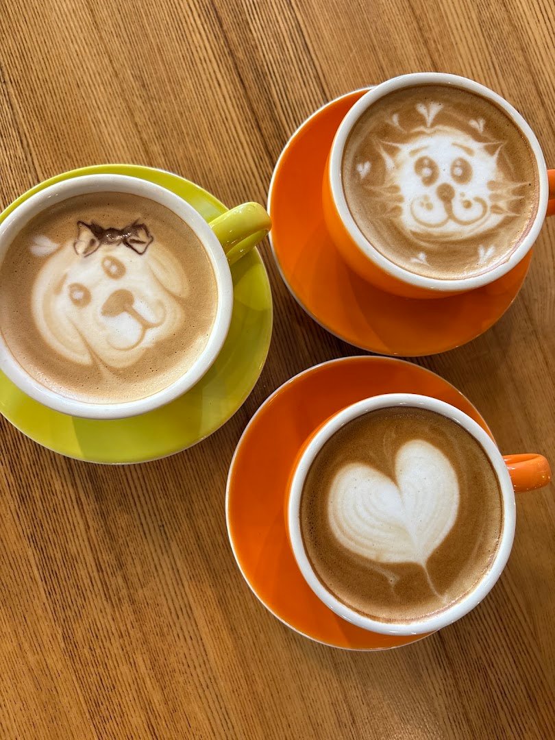 Coffee at Macondo Coffee Roasters - Pinecrest, specialty coffee shop in Miami