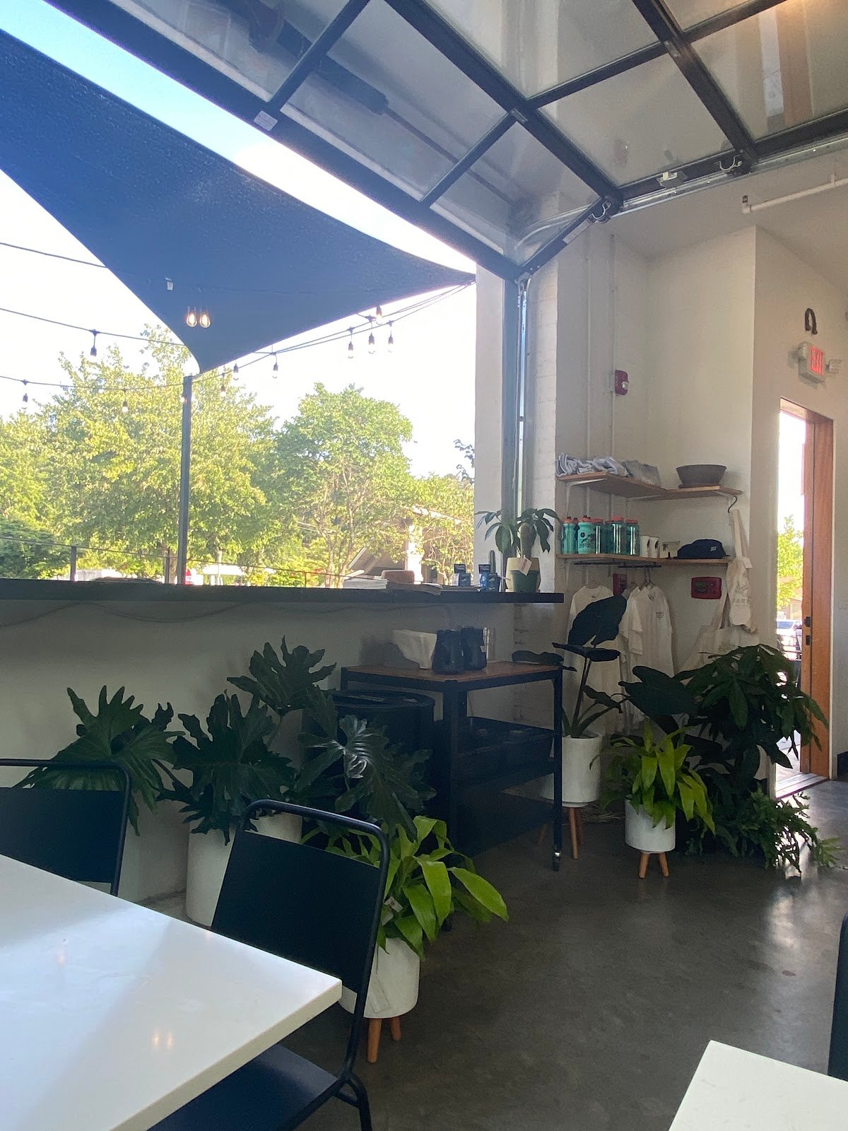 Farewell specialty coffee shop in Asheville - photo 5