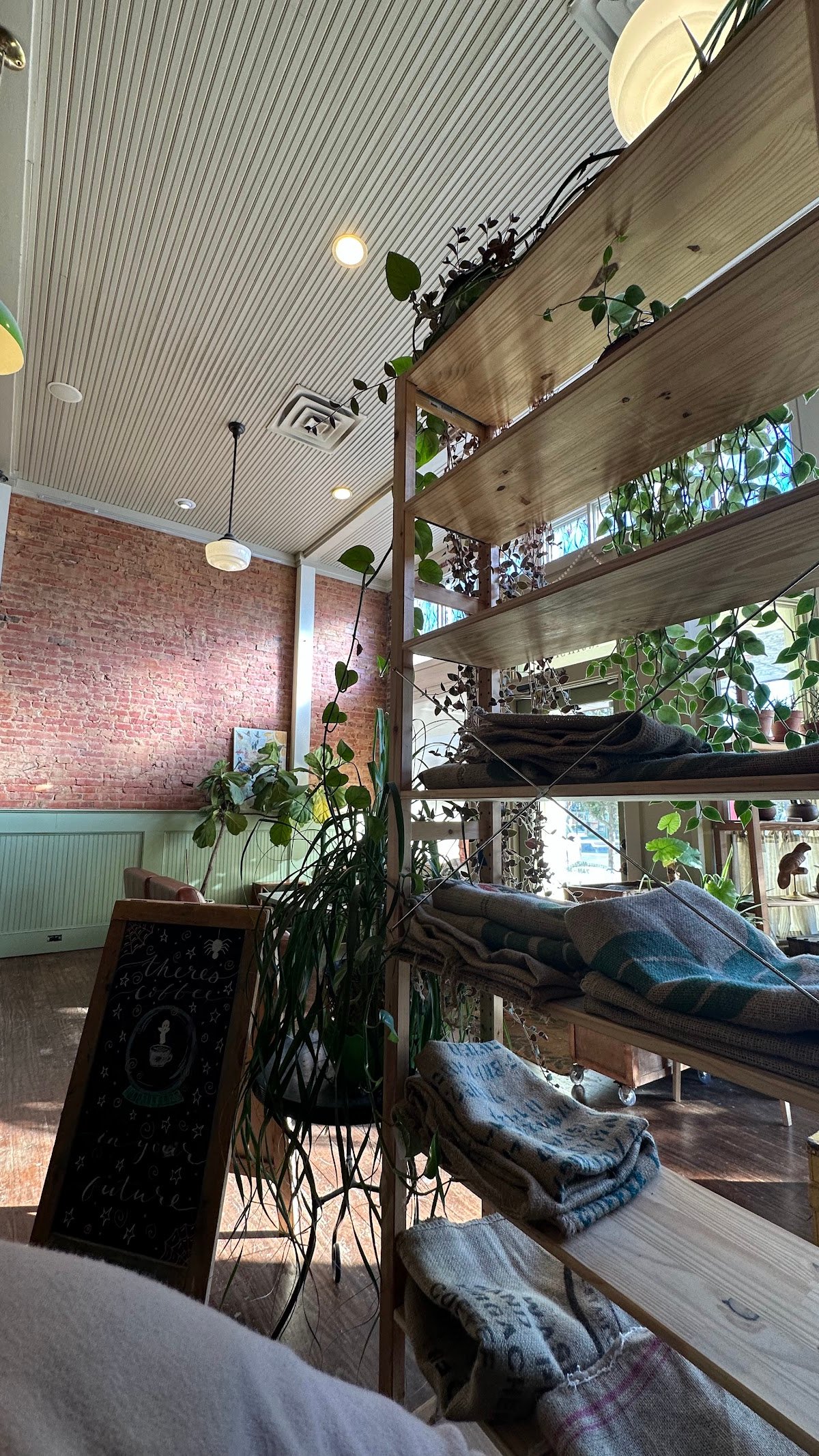 Rosalind Coffee specialty coffee shop in Dallas - photo 10