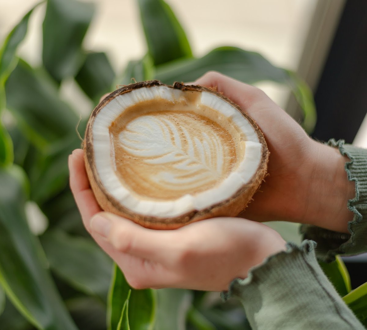 Mango Tree Coffee specialty coffee shop in Denver - photo 10