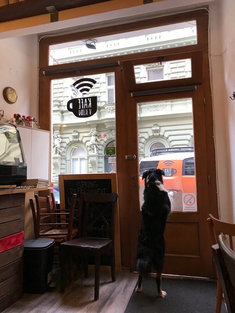 Interior of Kafe v Klidu, specialty coffee shop in Prague