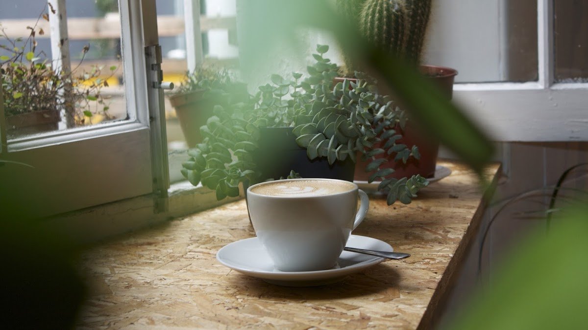 Brunswick East, Dalston specialty coffee shop in London - photo 4