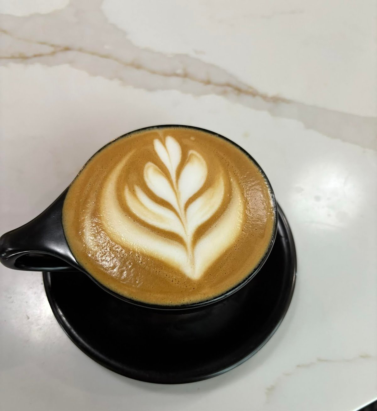 Presso Coffee Co specialty coffee shop in Portland - photo 4